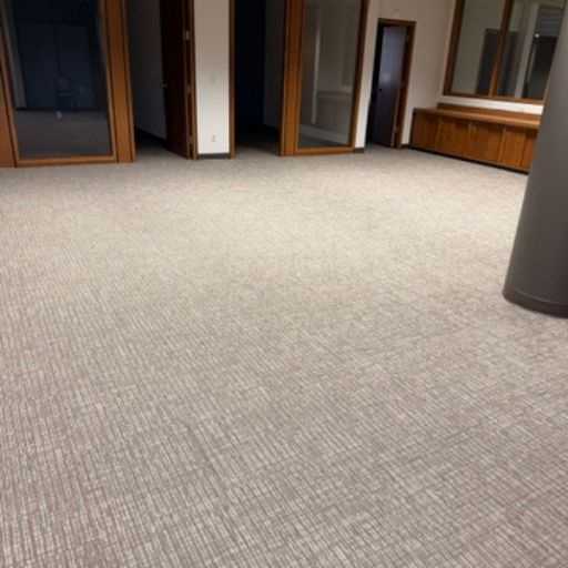 hallway carpets in office